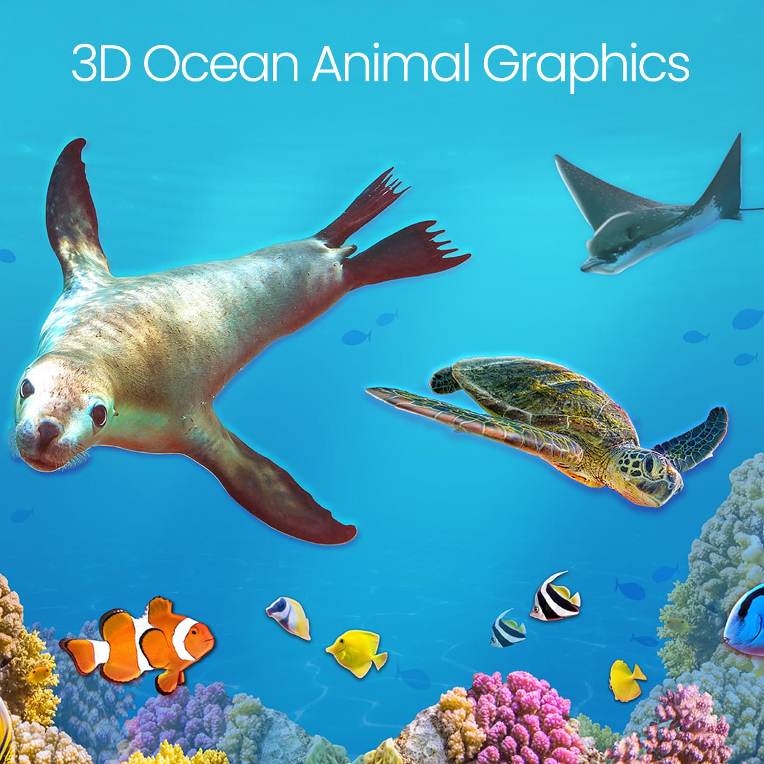3D ocean animal graphics including a seal, turtle, and various fish on a blue background.